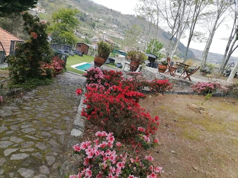 הוילה Santa Marinha do Zêzere Quinta Da Cartida מראה חיצוני תמונה