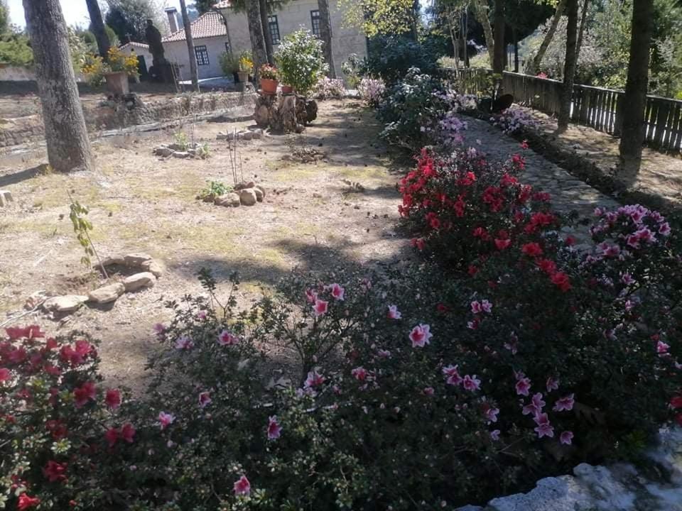 הוילה Santa Marinha do Zêzere Quinta Da Cartida מראה חיצוני תמונה