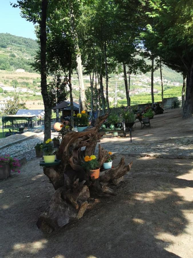 הוילה Santa Marinha do Zêzere Quinta Da Cartida מראה חיצוני תמונה